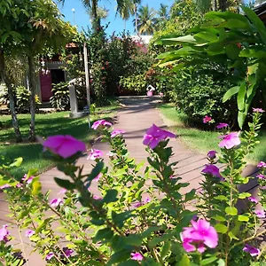 hotel-casa-robinson.comcaribbean.com/