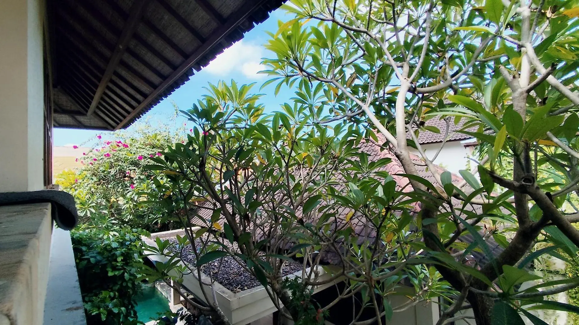 Resort Villa Diana Bali Legian